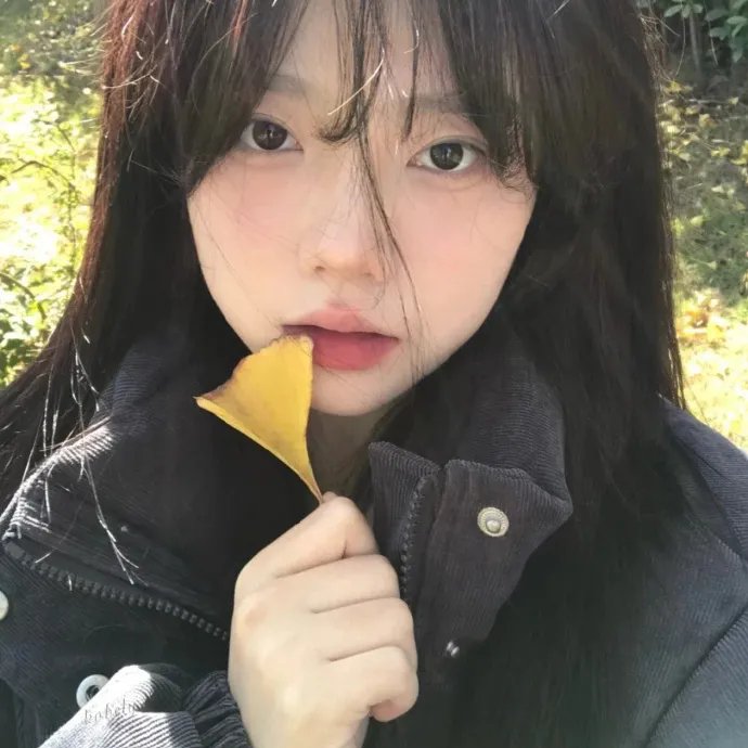生活重新开始